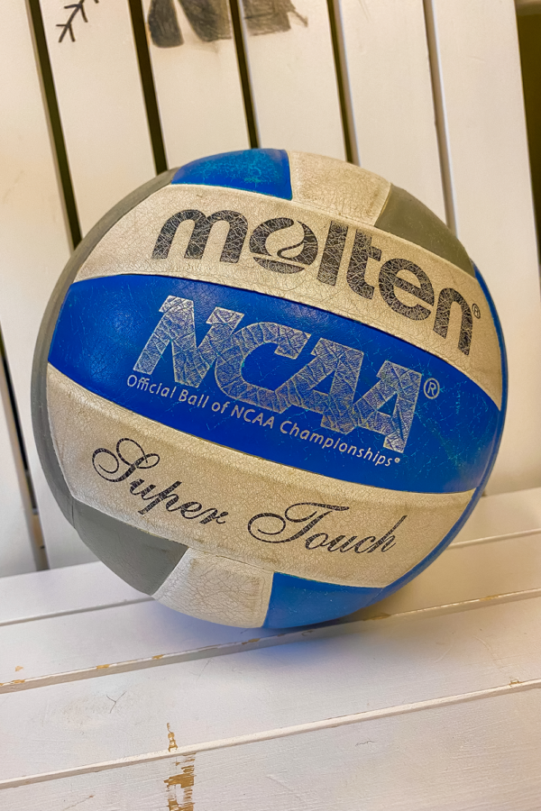 A volleyball from the Lou Higgins Rec Center.