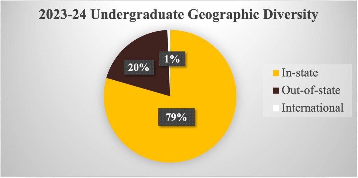 Baldwin Wallace Universitys undergraduate student demographic